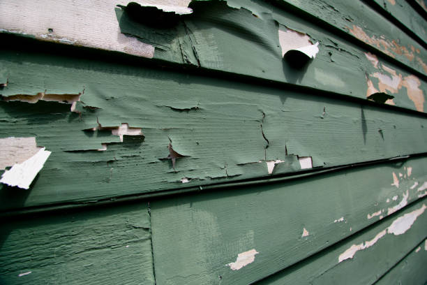 Best Residential Vinyl Siding Installation  in Independent Hill, VA