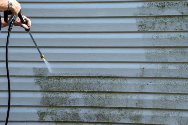 Best Engineered Wood Siding  in Independent Hill, VA