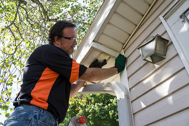 Best Siding Removal and Disposal  in Independent Hill, VA